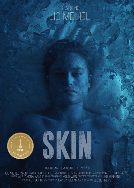 Skin